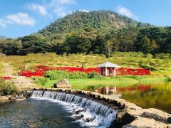 -广州市石门国家森林公园