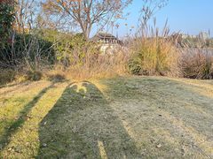 -长广溪湿地公园
