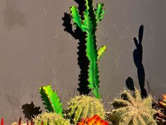 -万达影城(锦华万达广场IMAX店)