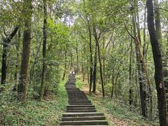 -西湖风景区十里琅珰-五云山