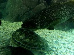 -福州罗源湾海洋世界旅游区