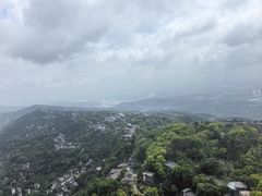 -大金鹰园