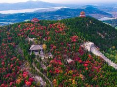 -龙口南山旅游景区