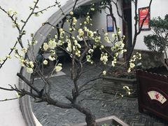 -檀园