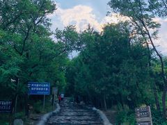-阳台山自然风景区