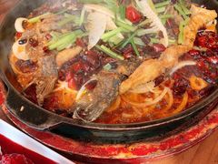 -老板恋上鱼(恒隆广场店)