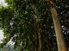 -河南省黄河迎宾馆