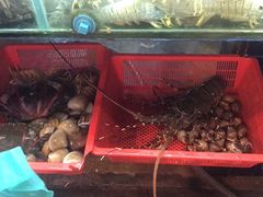 一楼买的海鲜-班赞海鲜市场