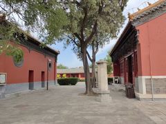 -药王庙(安国市)