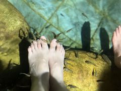 -佛冈森波拉度假区