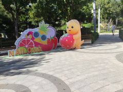 -南宫五洲植物乐园