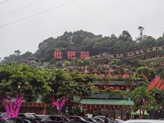 -枇杷园食为鲜火锅(南山店)