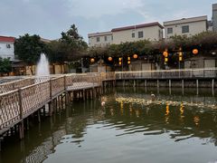 -陶缘一号·四季缘·老字号顺德菜·户外婚礼家宴(西滘店)