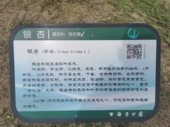 -西海子公园