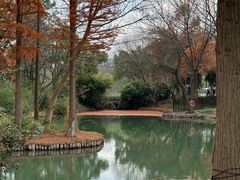 -西溪国家湿地公园