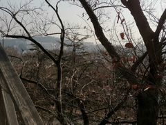 -青岛德国总督楼旧址博物馆