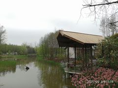 -东平国家森林公园