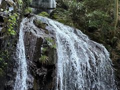 -藏龙百瀑风景区