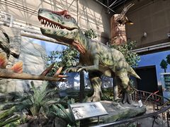 -国家自然博物馆