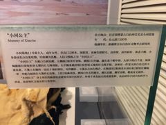 -北京大学赛克勒考古与艺术博物馆