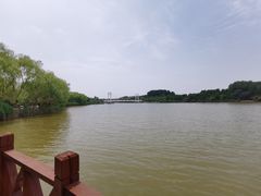 -塘沽森林公园
