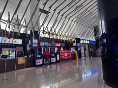 -金逸影城(武汉人信汇IMAX店)