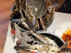 -半岛听涛蒸汽海鲜自助(K11店)