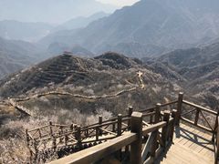 -大岭沟猕猴桃谷风景区