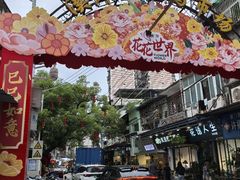 -溪岸路花鸟市场