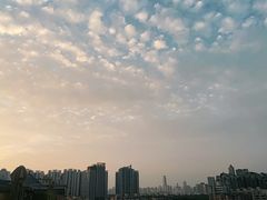 -小茶闲舍·观景商务茶馆(广州塔店)