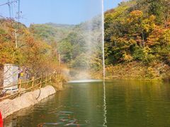 -天女山森林公园