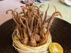 -彩丰楼中餐厅·早茶·点心·粤菜(海口华彩洲际酒店)