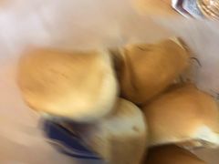-白玉兰食品甜凤店(合生汇店)