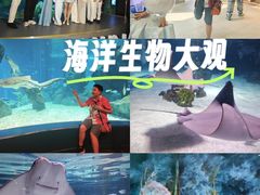 -暹罗海洋世界