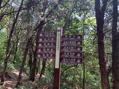 -云龙山