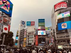-涩谷区