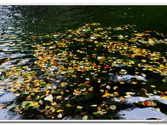 -广元唐家河嘉怡客栈