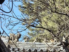 -潭柘寺景区