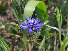 -白帝城·瞿塘峡景区