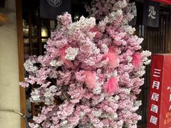 -三月居酒屋(青年大街店)