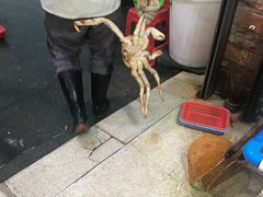 -蚝专家(北滘店)