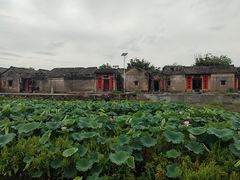 -苏家围·东江画廊旅游景区