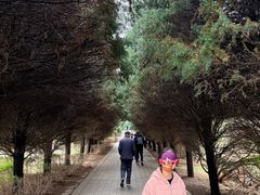 -秦始皇帝陵博物院-丽山园
