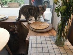 -小时光咖啡馆(北锣鼓巷店)