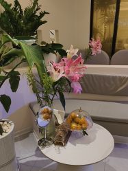 -芮娜皮肤管理·SPA中心