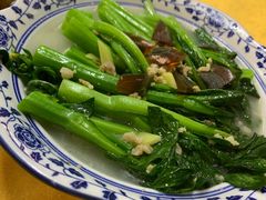 -鸽王世家(东华东路店)