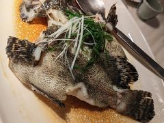 -陶陶居酒家(新天地店)