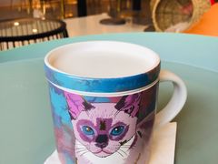 -飞行喵MR PILOT|猫舍·猫咖(静安大融城店)