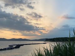 -上海市保健医疗中心