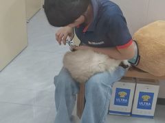 -瑞鹏宠物医院·骨科·猫科·内科(第一中心)